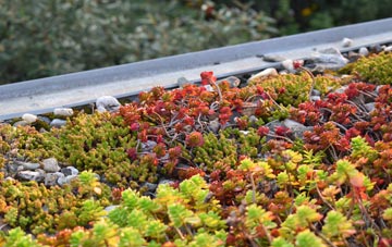 the cost of Freshford green roof installation