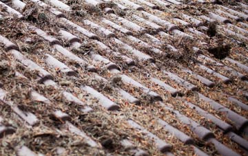 Freshford roof cleaning companies