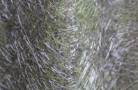 Freshford fibreglass roof work